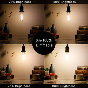 LiteHistory 600lm output matches 60W incandescent feel with energy savings.