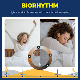Lightinginside smart light bulb in E26 socket for versatile fixtures