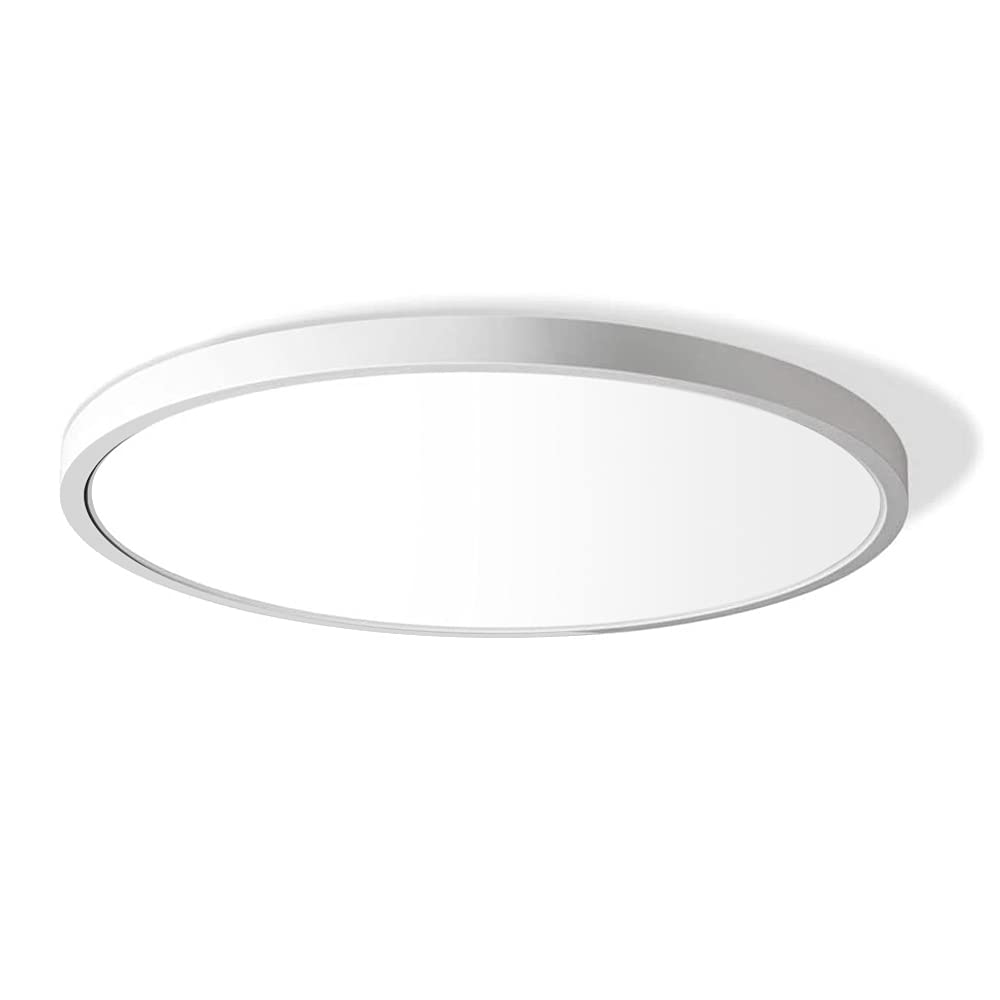 LightingWill 12-inch LED flush mount showcases a slim flat round design for modern ceilings.