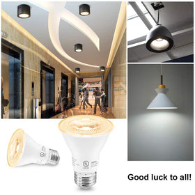 LightingWill indoor-outdoor-friendly bulb for recessed lighting and outdoor fixtures.