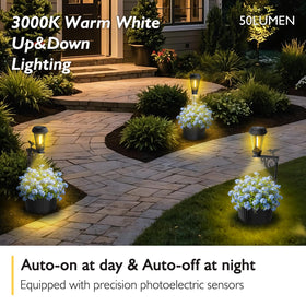 Lightkeeys warm white 3000K glow creates cozy garden ambience.