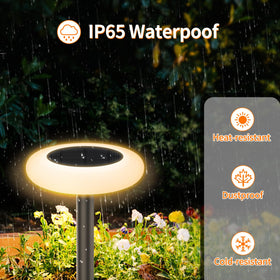 Lightonight dusk-to-dawn solar lights automatically turn on at night