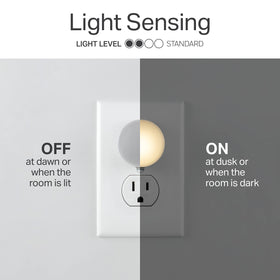 Lights by Night Glow Dot night light with dusk-to-dawn sensor for auto operation.
