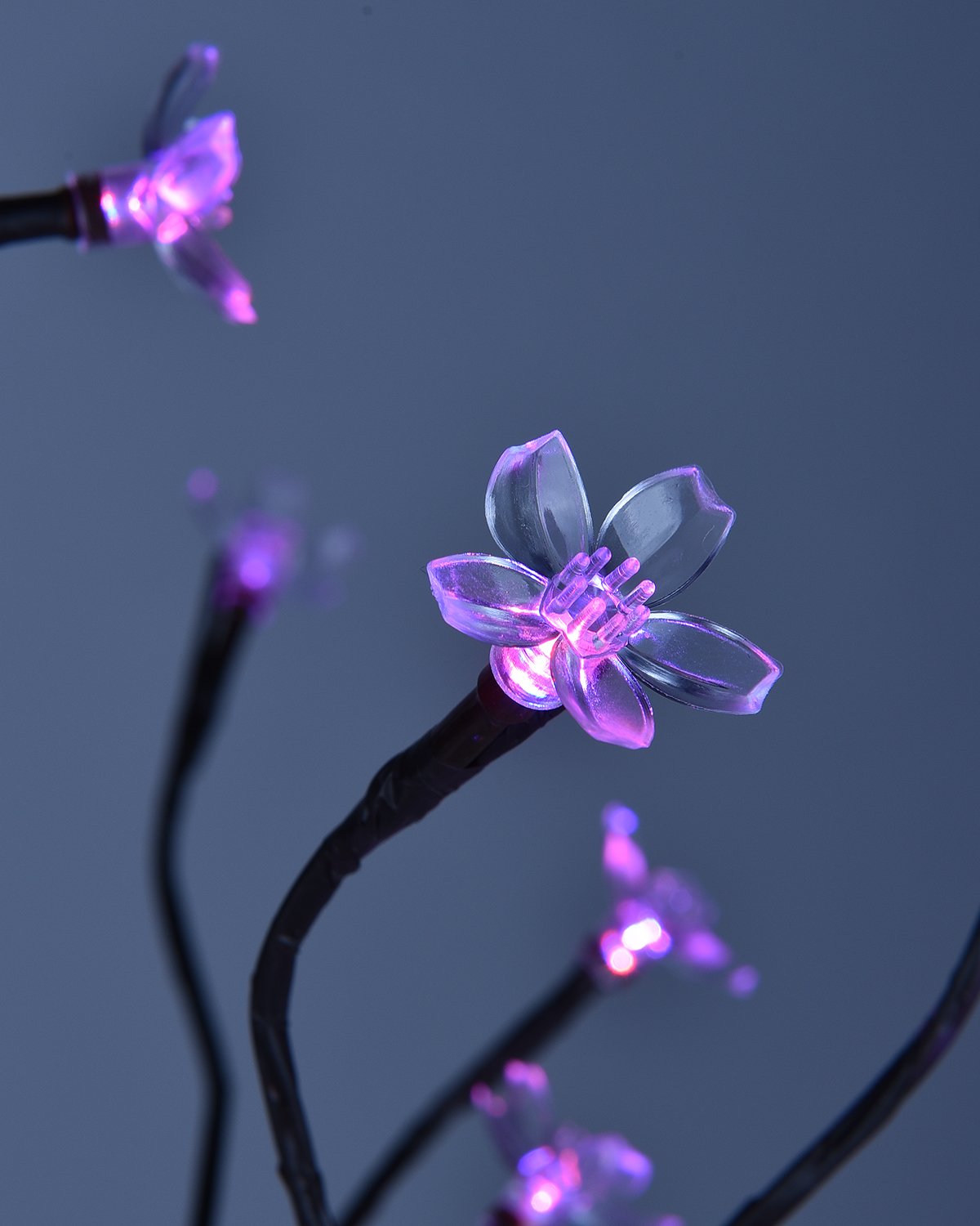 LIGHTSHARE Cherry Blossom Bonsai enhances room decor with a gentle glow