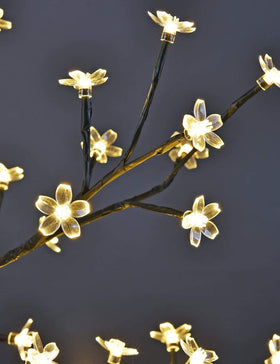 Lightshare cherry blossom bonsai enhances home decor on a shelf or table.