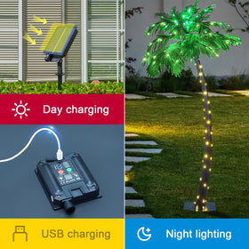 Lightshare palm tree LED lights brighten outdoor spaces.