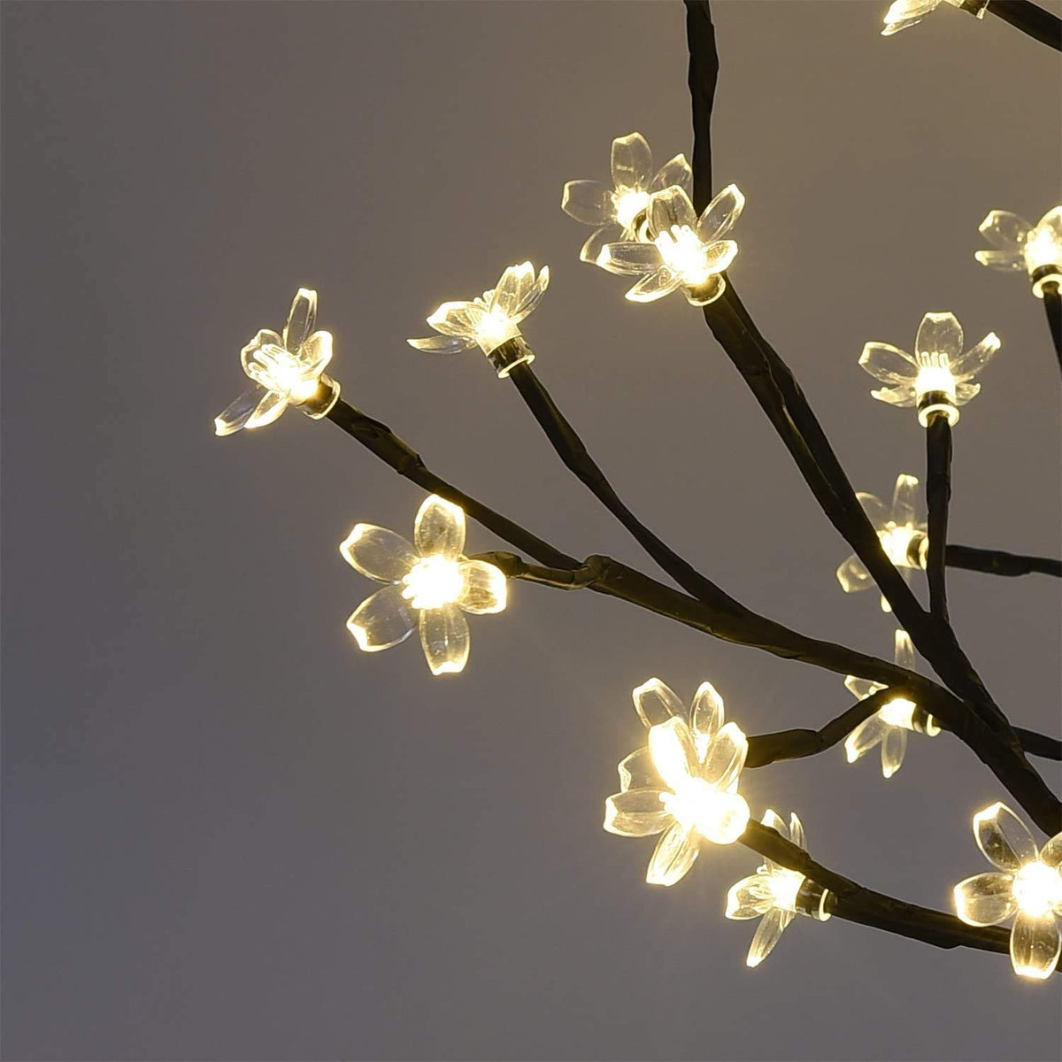 Lightshare metal base provides sturdy support for indoor display.