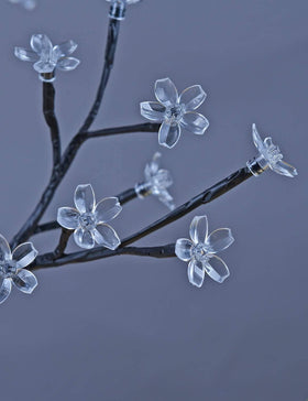Lightshare bonsai tree used as a night light with warm, welcoming glow.