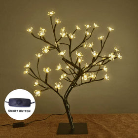 Lightshare close-up of warm-white LED lights on the bonsai for gentle illumination.