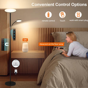 Lilaiaro floor lamp remote control with magnetic attachment.