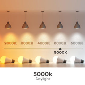 Linkind A19 LED bulb suitable for living rooms, offices, and kitchens