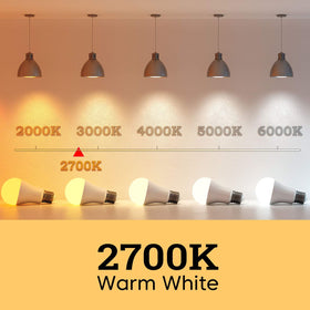 Six-pack of Linkind A19 bulbs for convenient home replacement.