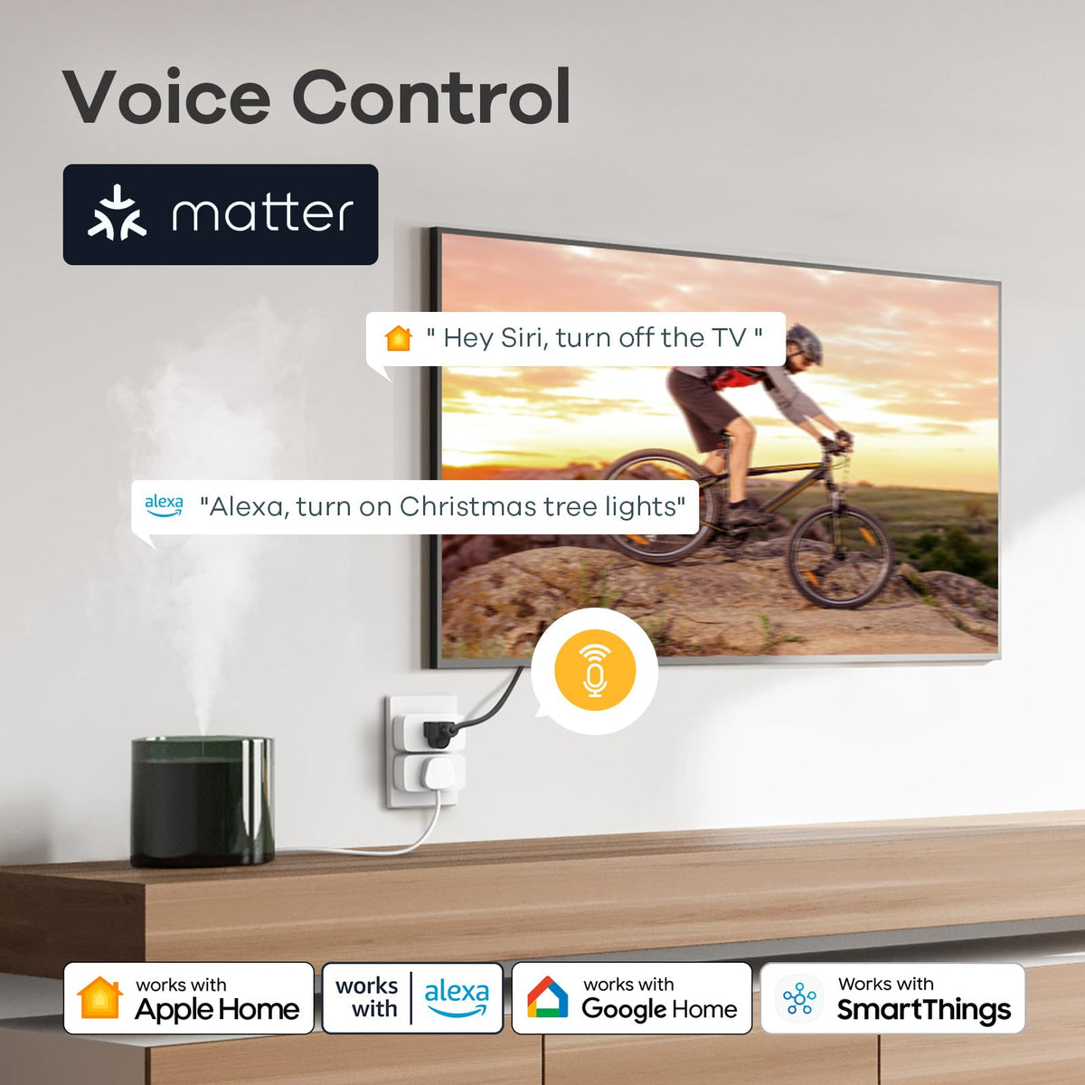 Hub setup for Linkind Matter Smart Plug showing Matter compatibility with platforms