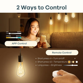 Linkind Edison Bulbs remote control with magnetic mount