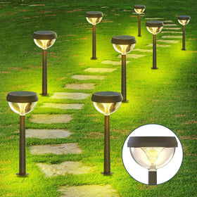 Linkind solar pathway light with Venus shadow decor lighting your walkway at night.