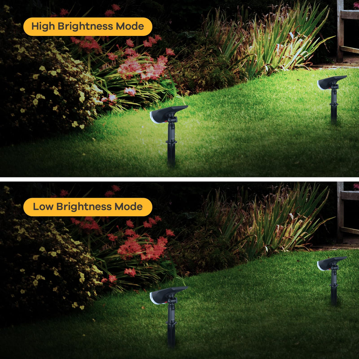 Linkind StarRayS ground stake spotlight guides a dark path