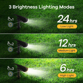 Linkind StarRay LED beads provide bright pathway illumination
