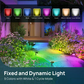 Linkind StarRay pathway lights with wall mount brighten walkways safely