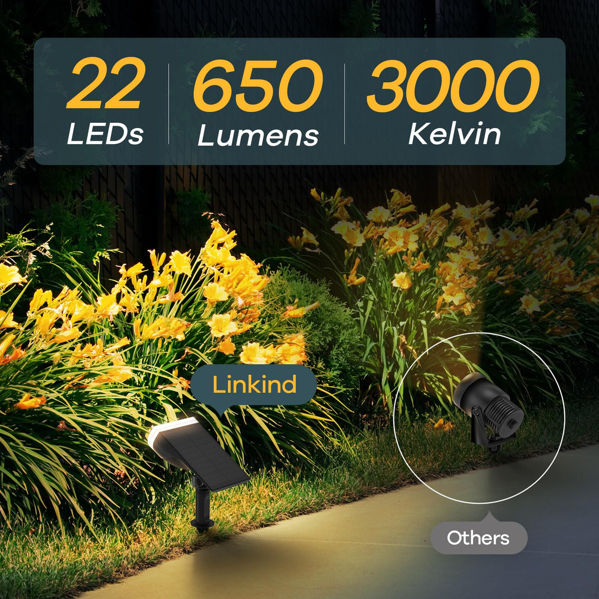 Linkind StarRay solar panel close-up showing efficient charging capability.