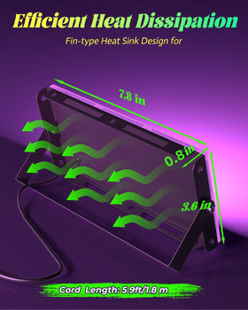 Linstaine multiple-unit setups cover larger areas with consistent glow.