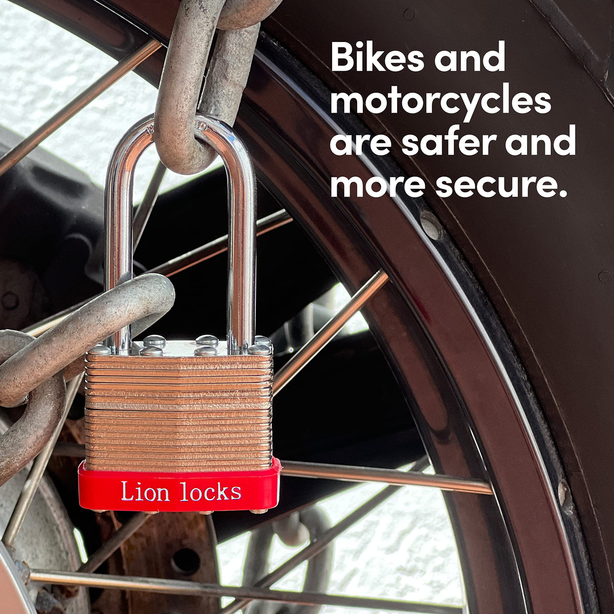 Lion Locks brass-pin cylinder detail emphasizing pick resistance.