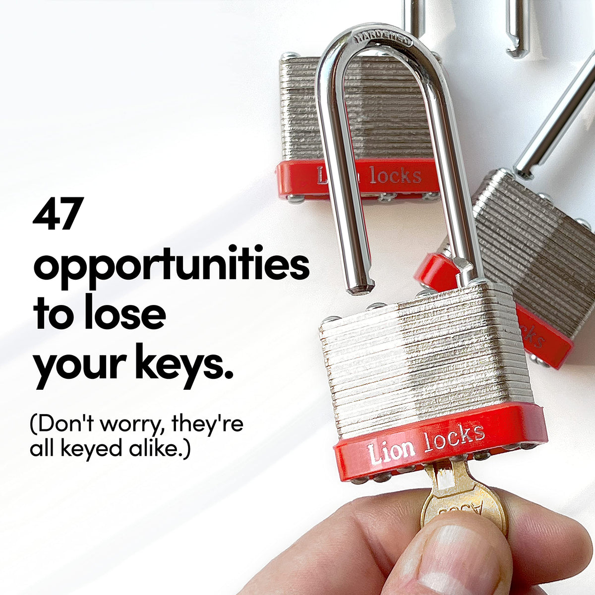 Lion Locks outdoor gate-use padlock ready for weather-resistant security.