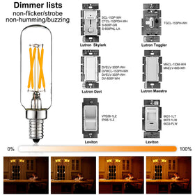 LiteHistory Edison-style 60W-equivalent bulb for vintage lighting