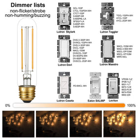 LiteHistory Edison-style filament LED bulb for vintage-inspired fixtures.