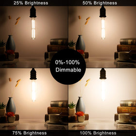 LiteHistory long-life LED bulb ideal for sconces and shelves.