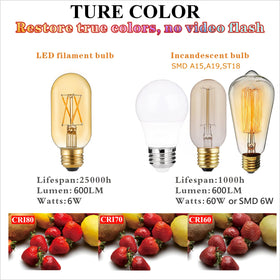 LiteHistory long-life 25,000 hour bulb suitable for ceiling fixtures.