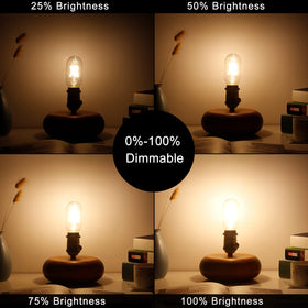 LiteHistory long-life LED bulb 25000h reduces replacements
