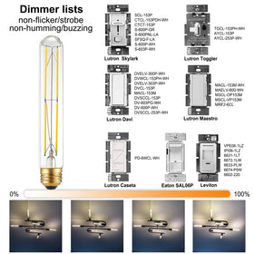 LiteHistory T10 LED bulb provides 60W-equivalent brightness with efficient 6W use