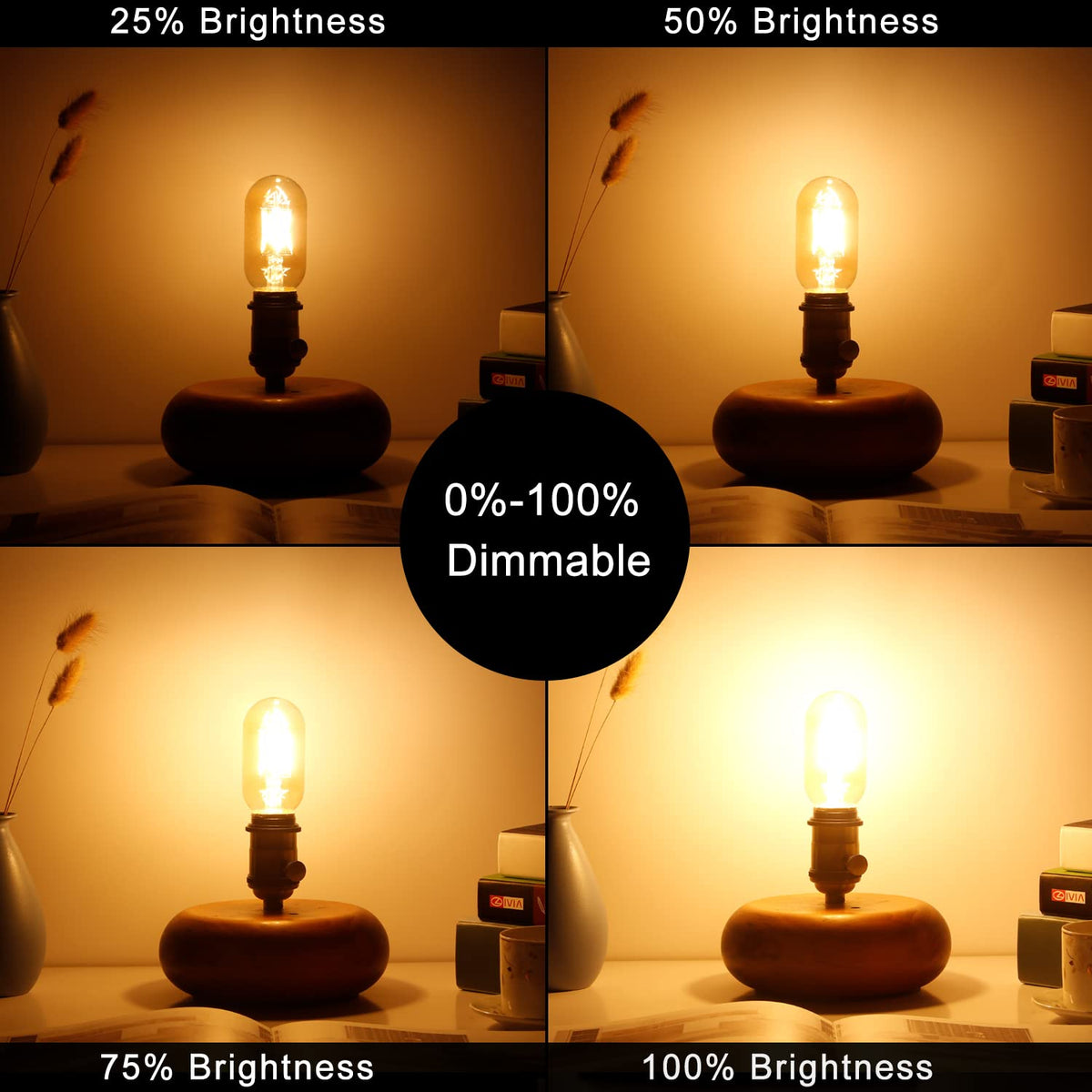LiteHistory tubular bulb in a wall sconce delivering steady warm light.