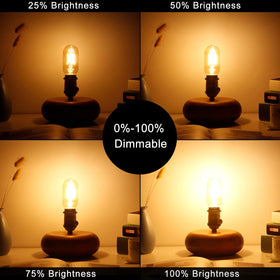 LiteHistory tubular bulb in a wall sconce delivering steady warm light.