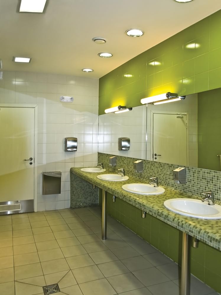 Suitable for damp indoor locations, Lithonia Quantum Emergency Light operates from 50–104°F.
