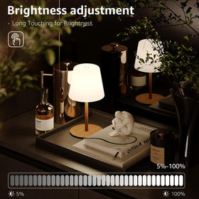 Litluzecozy IP65 shower lamp offers warm, natural, and cool light options