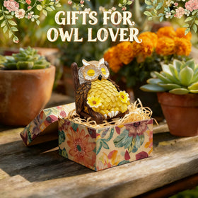 LIULO TOOL outdoor patio owl light brightens evenings on porches and balconies