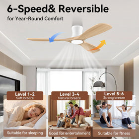 Livory dimmable LED lights with 3000K-5000K for adaptable mood lighting.