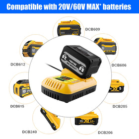 Lizone charger universal input for global use