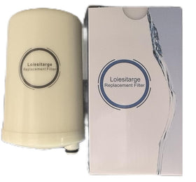 Loiesitarge dual-port top connection for quick filter swaps during maintenance.