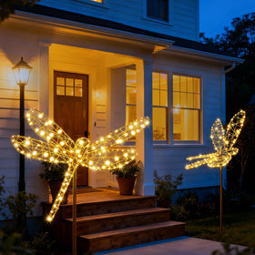 Lomotech dragonfly lights easy-install ground setup in minutes