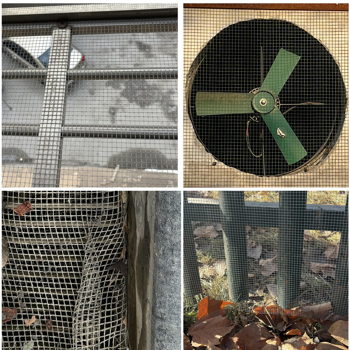 LOVEERCT rehab cage suitable for small mammals and humane containment.