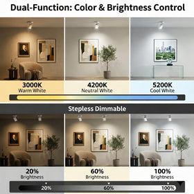 Lsoppn wireless art spotlight with remote enhances gallery walls and easy positioning