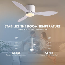 LUDOMIDE ceiling fan summer-winter modes show season-ready airflow.