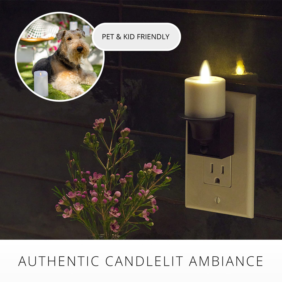 Luminara decorative indoor accent adds warm ambient lighting to any room.