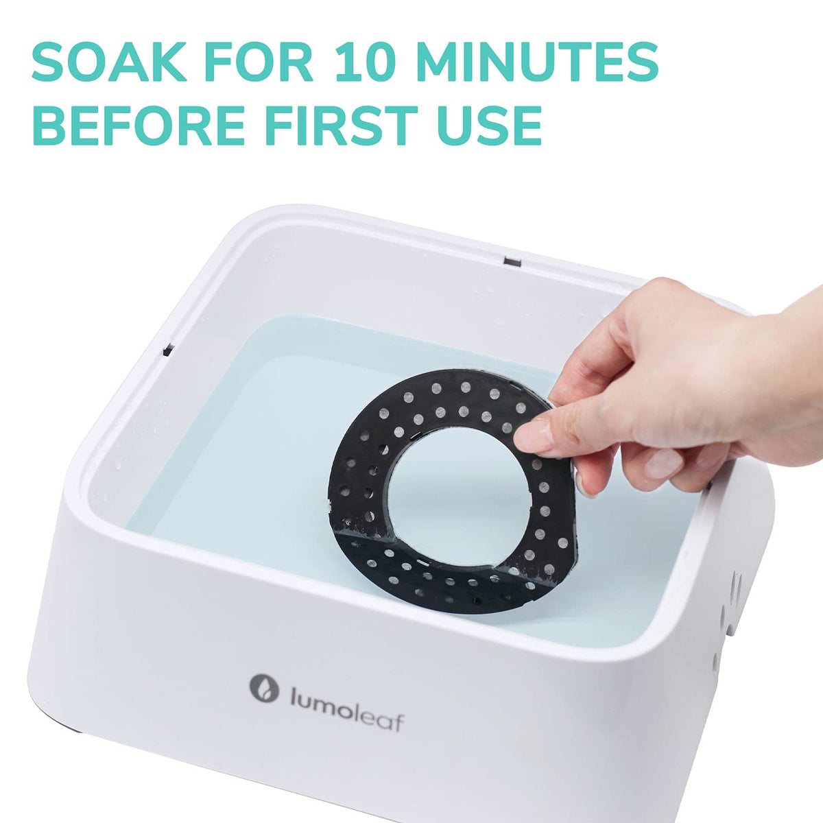 LumoLeaf four-pack filters offer long-term value for pets