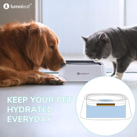 LumoLeaf dog water bowl accessory for clean hydration