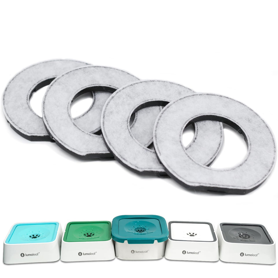 LumoLeaf replacement filter for 70oz no-spill bowl keeps water fresh
