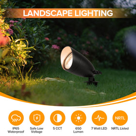 LUTEC easy, safe 12V installation for backyard lighting setup.