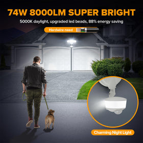 LUTEC porch light with night light control improves nighttime visibility
